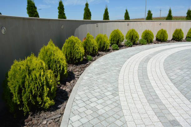 Best Permeable Paver Driveway  in Stewartville, MN